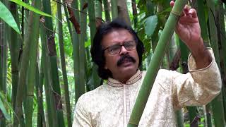 How a simple bamboo turns into a magical flute, Nikhil Krishna Majumder