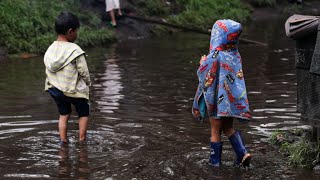¡69 casos de abuso sexual contra menores indígenas! Aterrador informe sobre el Guaviare