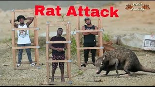 The Rise of Rats (Xploit Comedy) (Short Film)