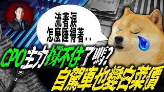 CPO主力支撐不住了嗎?自駕車也變白菜價｜Mr. 容逸燊