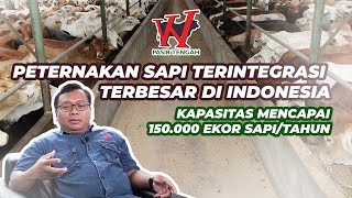 Peternakan Sapi Terbesar | PT. Pasir Tengah Memiliki Ternyata Memiliki Visi yang Besar