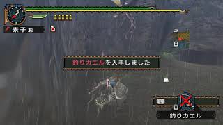 [MHP2G][のんびり訓練][特別訓練]ガノトトス討伐訓練-ガンランス