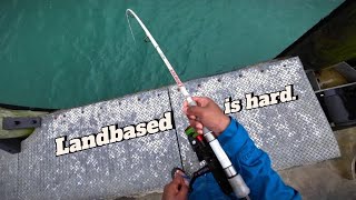 The Reality of Landbased Fishing in Auckland