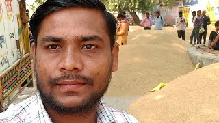 अलीगढ़ धान मंडी से Live