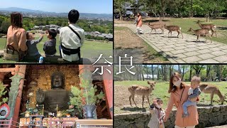 子連れ奈良旅〜王道スポットを巡り鹿に追いかけられるハプニング！！