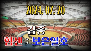 청도소싸움 2024.07.20 제6경기 갑종 힘센 / 보은일호