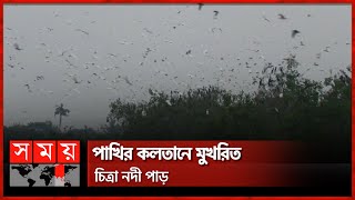 বাগেরহাটের পাখির স্বর্গরাজ্য এখন 'মিনি সুন্দরবন' | Bagerhat Tourist Spot | Chitra River | Somoy TV