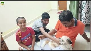 మా వాడికి మళ్ళీ కుక్కల మీద గాలి మళ్ళింది 😱😱//#dog #cute kamalakarvlogs