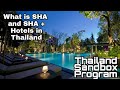 What is SHA+ Hotels In Thailand? [English] | Sandbox Program Includes SHA+ Hotels | RoamWithRivera