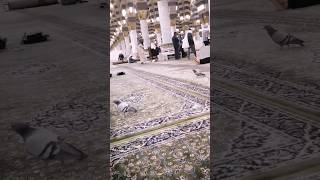 #islamicvideos #islamicspeech#masjidnabawi#haramain #islamicstatus #islamicpost #islam #islamic