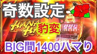 【奇数設定のBIG先行台】朝一から設定5が期待できるプレミアムハナハナがBIG間1400Gハマりの豹変ぶり。大ハマりの後は連チャンするのか？