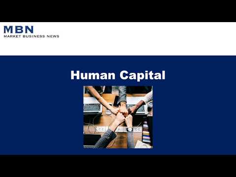What are the 4 components of human capital?