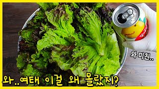 상추를 이렇게 하니 가족들이 요즘 김치를 쳐다도 안봐요🎶 고기 없이 상추를 이렇게 많이 먹은건 처음입니다~