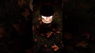 Coleman powerhouse 295 lantern in autumn camping