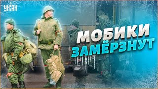 Российские "мобики" будут воевать и погибать зимой в летней форме - Свитан