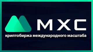 🔝 MXC – топовая криптобиржа международного масштаба?