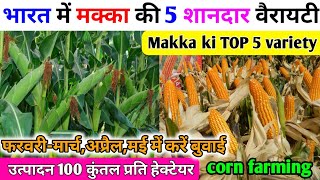 मक्का की TOP 5 वैरायटी// गर्मी में मक्का की खेती कैसे करें//makka ki top variety//makka ki kheti