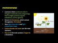 csec biology broad topics free crash course