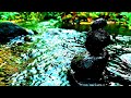 Fall Asleep Instantly in 3 Minutes to Tranquil Water Sounds - Yapah Relaxing