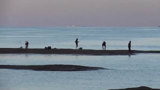 本日土曜日の田辺市天神崎元島、沖磯、地磯、堤防釣り人の様子