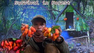 SURVIVAL IN THE JUNGLE●A MAN SEARCHING FOR FOOD IN THE FOREST●រស់រានជីវិតស្វែងរកអារហារក្នុងព្រៃ