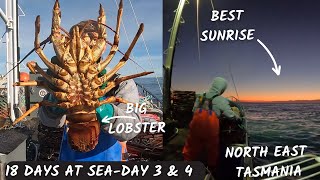 First Lobster of the trip , Day 3 and 4 -18 DAYS AT SEA,