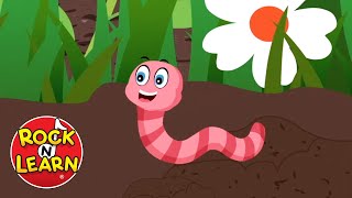 Wiggly Woo | Fun Song with lyrics | Rock 'N Learn