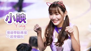 P.LEAGUE+【新竹街口攻城獅】Ying小映(Muse Girl慕獅女孩)喵喵日主題週｜場邊帶動應援《一起學貓叫》2023/01/08