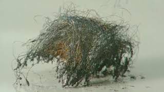 The Reaction of Iron Wool with the Halogens