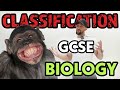 GCSE Biology - Classification Rap