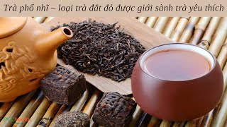 Trà phổ nhĩ – loại trà đắt đỏ được giới sành trà yêu thích