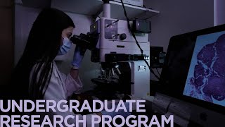 Undergraduate Research Program at UConn Health