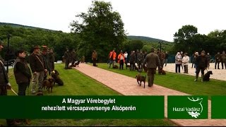 NIMRÓD Percek - A Magyar Véreb Egylet nehezített vércsapaversenye Alsóperén - 2015.06.21-i adás