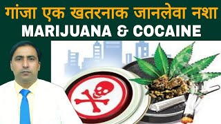 गांजा एक खतरनाक जानलेवा नशा || MARIJUANA\u0026 COCAINE || Dr kumar education clinic