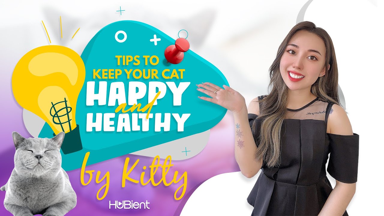 Kitty Tips To Keep Your Cat Happy And Healthy Youtube