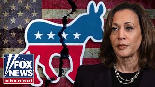 'DISASTER!': Former Dem megadonor delivers SCATHING party assessment