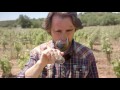 2 qu’est ce qu’un vin biologique  what is an organic wine