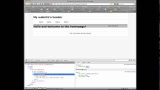 Firebug intro
