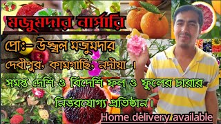 সমস্ত দেশি ও বিদেশি ফল ও ফুলের চারার নির্ভরযোগ্য প্রতিষ্ঠান মজুমদার নার্সারি হবিবপুর,নদিয়া(দেবিপুর)