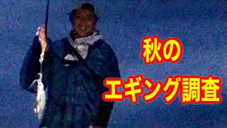 【海釣り】秋はやっぱり爆釣！？秋のエギングは色々と面白かったww【エギング】