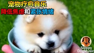 🐶【狗狗也爱听音乐! 毛孩摇篮曲】8小时让狗狗深度放松的音乐🐶小狗安眠音乐 宠物疗愈音乐  🎵🎶  放松毛孩子的心情，降低焦虑和紧张情绪  放松你的狗狗  睡眠音乐 安抚放松你的狗狗