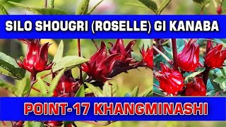 SILO SOUGRI (ROSELLE) thakpagi kanba Point-17 @healthtime6469 @tipsofficial