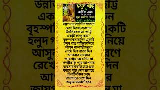 # বাস্তু টিপস# একটি হলুদ গাছ আপনার ভাগ্য বদলাতে পারে#Shorts