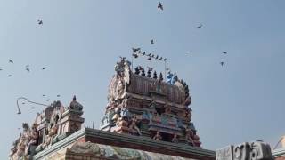 sri periyanayagi amman