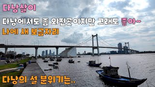 다낭 시내에서는 좀 떨어진 저에 새 숙소입니다. 주변이 너~무 맘에 들어요 (feat. 다낭 설 분위기) #vietnam #다낭 #여행 #다낭살이 #브이로그