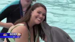 WXXV 25 - Swimming with the dolphins