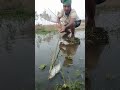 amazing fishing video 🔴🐟 satisfying fishing hight technology 🔴 tik tok china fishing fishing