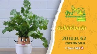 ต้นไม้เพื่อนรัก : บ้านนักวิทยาศาสตร์น้อย (20 เม.ย.62)