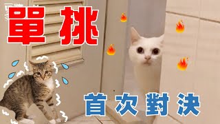【業配姊弟 EP01】豆漿 vs 俊榮　實力也太懸殊...