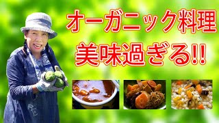 オーガニック料理 美味過ぎる!!【 レトルト食品】